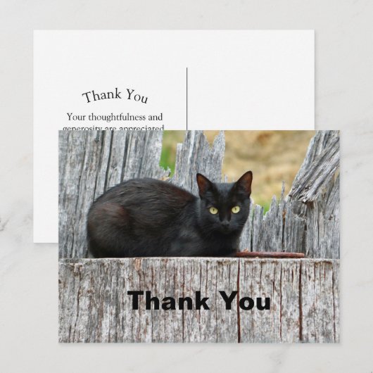 Mooi zwart kat log foto bedankt briefkaart (Voorkant / Achterkant)