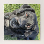 Mooi zwart lab legpuzzel (Horizontaal)