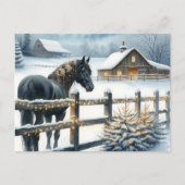 Mooi zwart paard op een kerst Boerderij Feestdagenkaart (Voorkant)