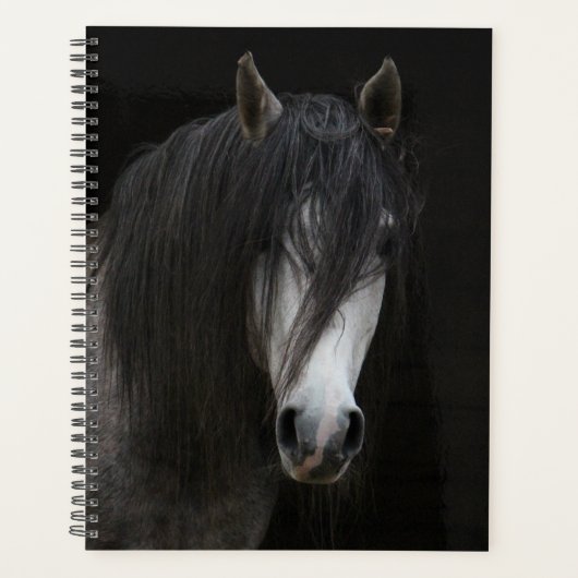 Mooi zwart-wit paard planner (Voorkant)
