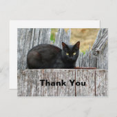 Mooi Zwarte Kat Log Foto Bedankt Briefkaart (Voorkant / Achterkant)