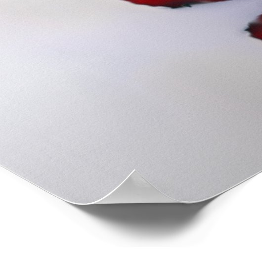 Mooie 21-tabel rode roodroodroodrooster poster (Hoek)