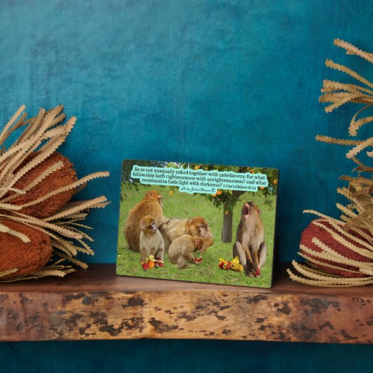 Mooie Aap Schrift 2 Korintiërs 6:14 Fotoplaat (Zijkant)