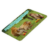 Mooie Aap Schrift 2 Korintiërs 6:14 Magneet (Linkerzijde)