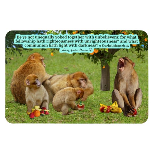 Mooie Aap Schrift 2 Korintiërs 6:14 Magneet (Horizontaal)