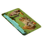 Mooie Aap Schrift 2 Korintiërs 6:14 Magneet (Rechterzijde)