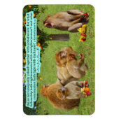 Mooie Aap Schrift 2 Korintiërs 6:14 Magneet (Verticaal)