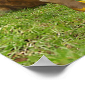 Mooie Aap Schrift 2 Korintiërs 6:14 Poster (Hoek)