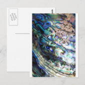 Mooie abalone schelp briefkaart (Voorkant / Achterkant)