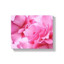 Mooie abstract mooie roze roos moderne bloem
