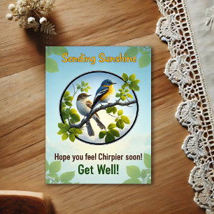 Mooie Acadian Flycatchers Beterschap Ansichtkaart Briefkaart