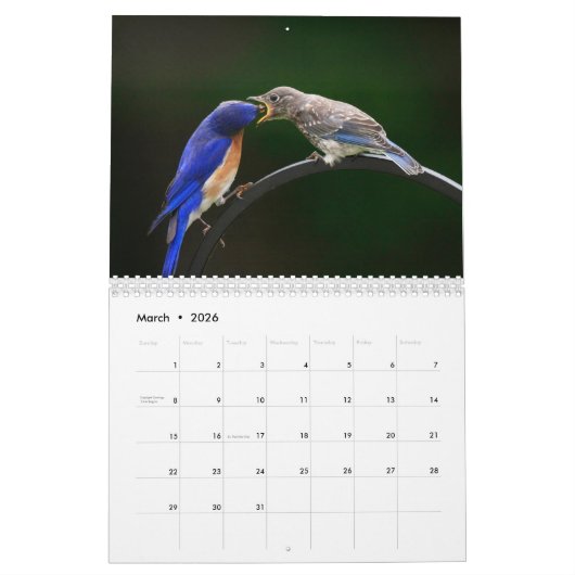 Mooie achtergrondkalender voor vogels kalender (Mar 2026)
