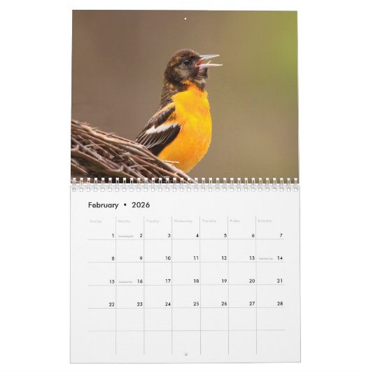 Mooie achtergrondkalender voor vogels kalender (Feb 2026)