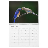 Mooie achtergrondkalender voor vogels kalender (Mar 2027)