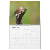 Mooie achtergrondkalender voor vogels kalender (Jan 2027)