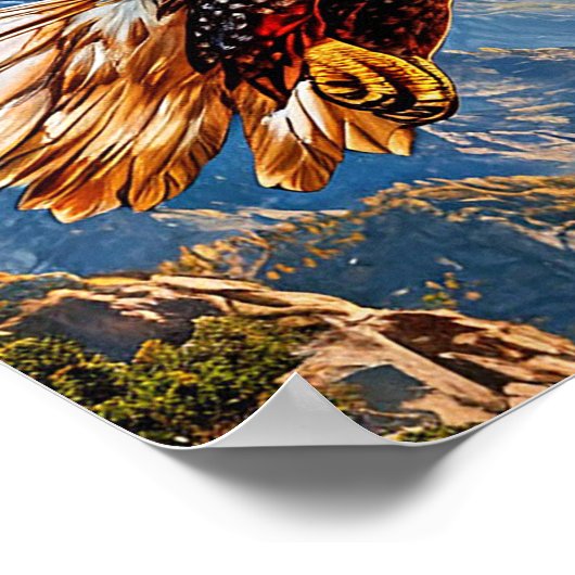 Mooie adelaar poster (Hoek)