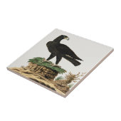 Mooie adelaarsvogels  schilderij tegeltje (Zijkant)