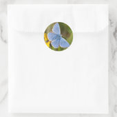 Mooie Adonis Blue Butterfly Stickers (Tas)