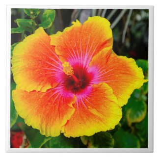 Mooie afbeelding van de bloem. tegeltje