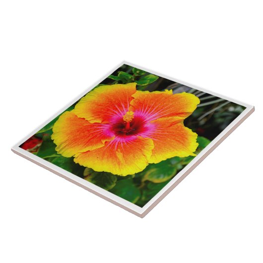 Mooie afbeelding van de bloem. tegeltje (Zijkant)