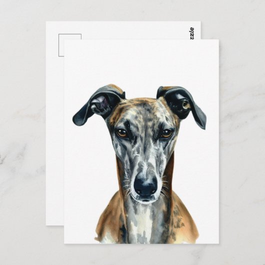 Mooie afbeelding van de Broedle Greyhound Briefkaart (Voorkant / Achterkant)