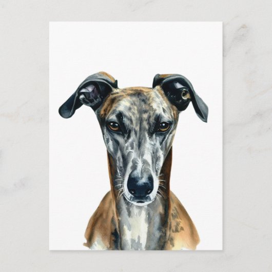 Mooie afbeelding van de Broedle Greyhound Briefkaart (Voorkant)
