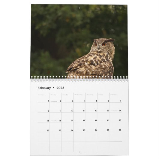 Mooie Afbeeldingen en Afbeeldingen van Owl 2016 Kalender (Feb 2026)