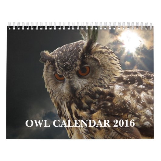 Mooie Afbeeldingen en Afbeeldingen van Owl 2016 Kalender (Hoes)