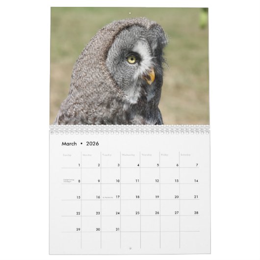Mooie Afbeeldingen en Afbeeldingen van Owl 2017 Kalender (Mar 2026)