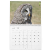 Mooie Afbeeldingen en Afbeeldingen van Owl 2017 Kalender (Mar 2027)