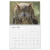 Mooie Afbeeldingen en Afbeeldingen van Owl 2017 Kalender (Jan 2027)