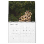 Mooie Afbeeldingen en Afbeeldingen van Owl 2017 Kalender (Feb 2027)