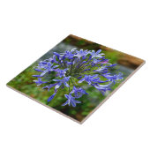 Mooie Afrikaanse Lily Tegeltje (Zijkant)