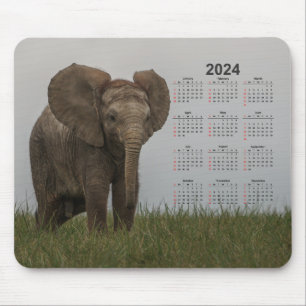 Mooie Afrikaanse Struik Olifant 2024 Kalender Muismat