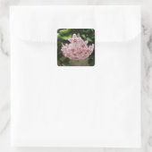 Mooie Afrikaanse Violet Bloom Vierkante Sticker (Tas)