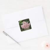 Mooie Afrikaanse Violet Bloom Vierkante Sticker (Envelop)