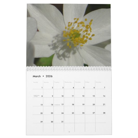 Mooie agenda voor Macro's Kalender (Mar 2026)