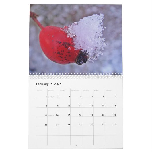 Mooie agenda voor Macro's Kalender (Feb 2026)