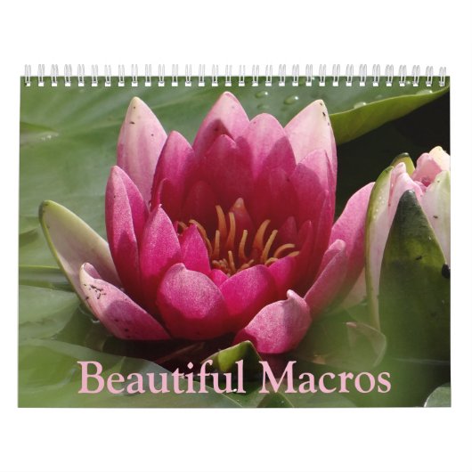 Mooie agenda voor Macro's Kalender (Hoes)