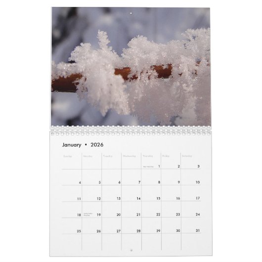 Mooie agenda voor Macro's Kalender (Jan 2026)