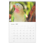 Mooie agenda voor vogels kalender (Jan 2027)