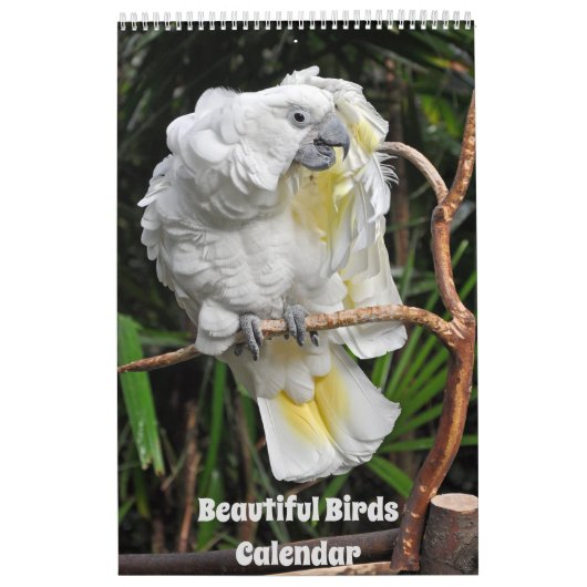 Mooie agenda voor vogels kalender (Hoes)