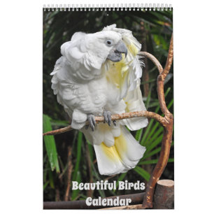Mooie agenda voor vogels kalender