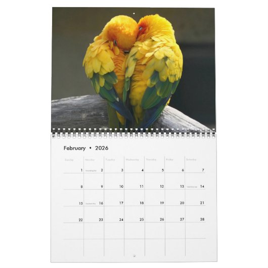 Mooie agenda voor vogels kalender (Feb 2026)