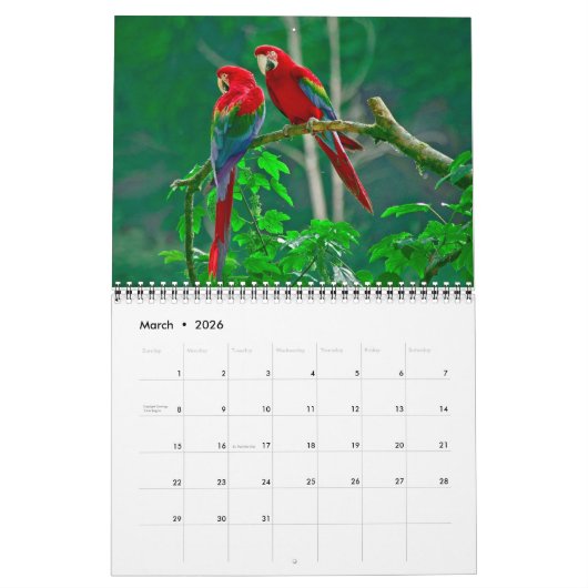 Mooie agenda voor vogels kalender (Mar 2026)