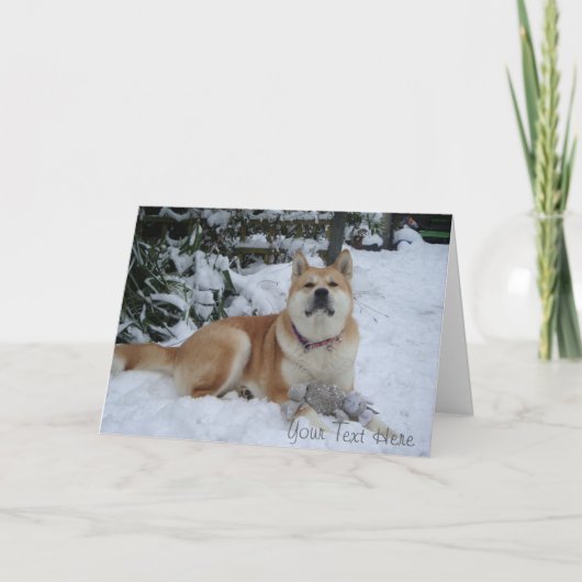 mooie akita hond rustend in de sneeuw kerstmis feestdagen kaart (Voorkant)