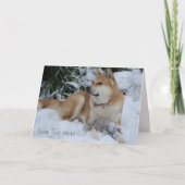 Mooie akita rustend in de sneeuw kerstmis feestdagen kaart (Voorkant)