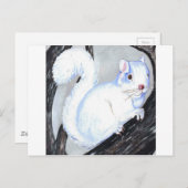 Mooie Albino Squirrel Briefkaart (Voorkant / Achterkant)