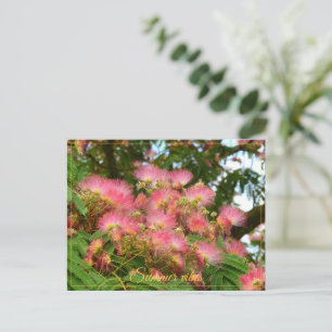 Mooie Albizia boom in bloei Briefkaart