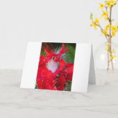 Mooie Alien Crimson.jpg Kaart (Gele Bloem)